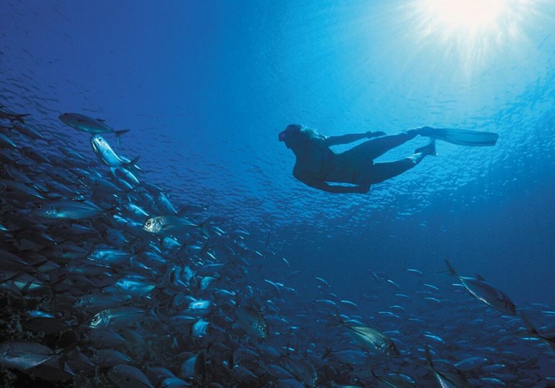 snorkel-mauritius
